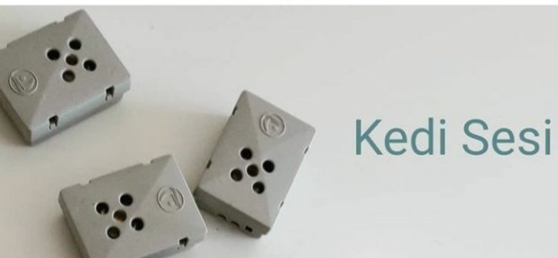 KEDİ SESİ