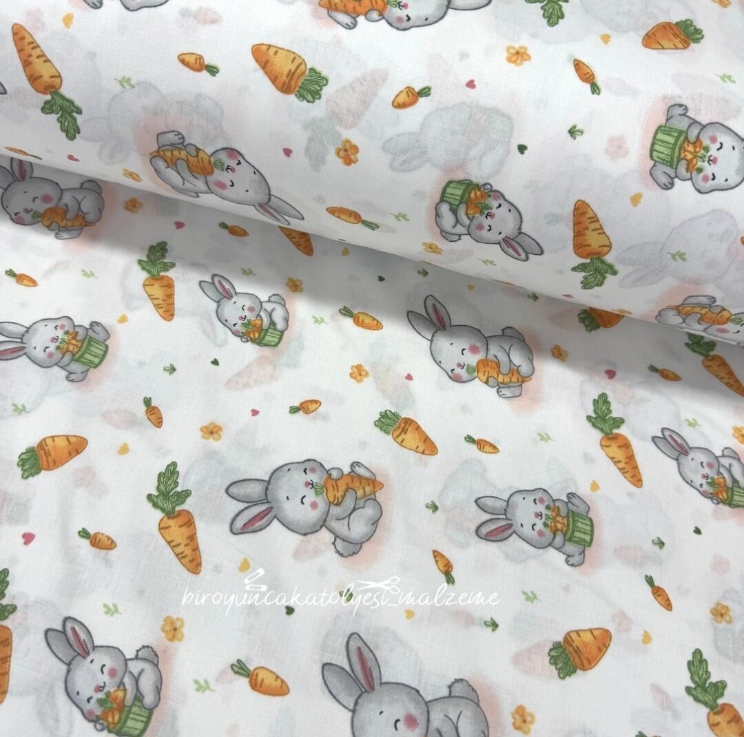 Havuç Yiyen Tavşanlar