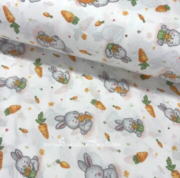 Havuç Yiyen Tavşanlar